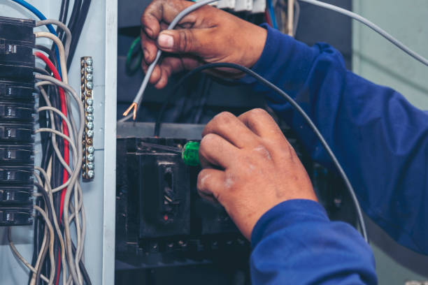 Best Ceiling Fan Installation Electrician  in Aurora, MN